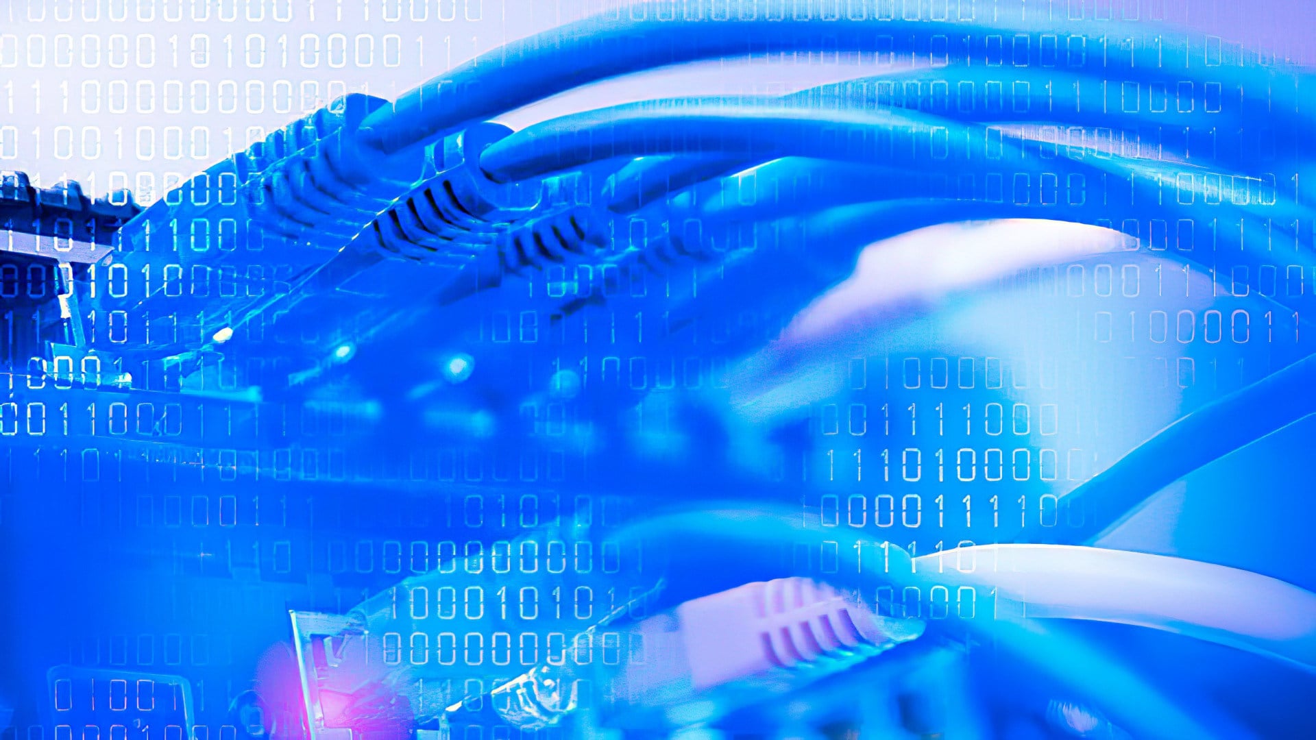 Internet, Daten, Netzwerk, Router, Switch, Datenübertragung, Kabel, Telekommunikation, Traffic, Gigabit, Ethernet, stecker, Binär, 720695, Patch-Feld, Netzwerkkabel, 1001