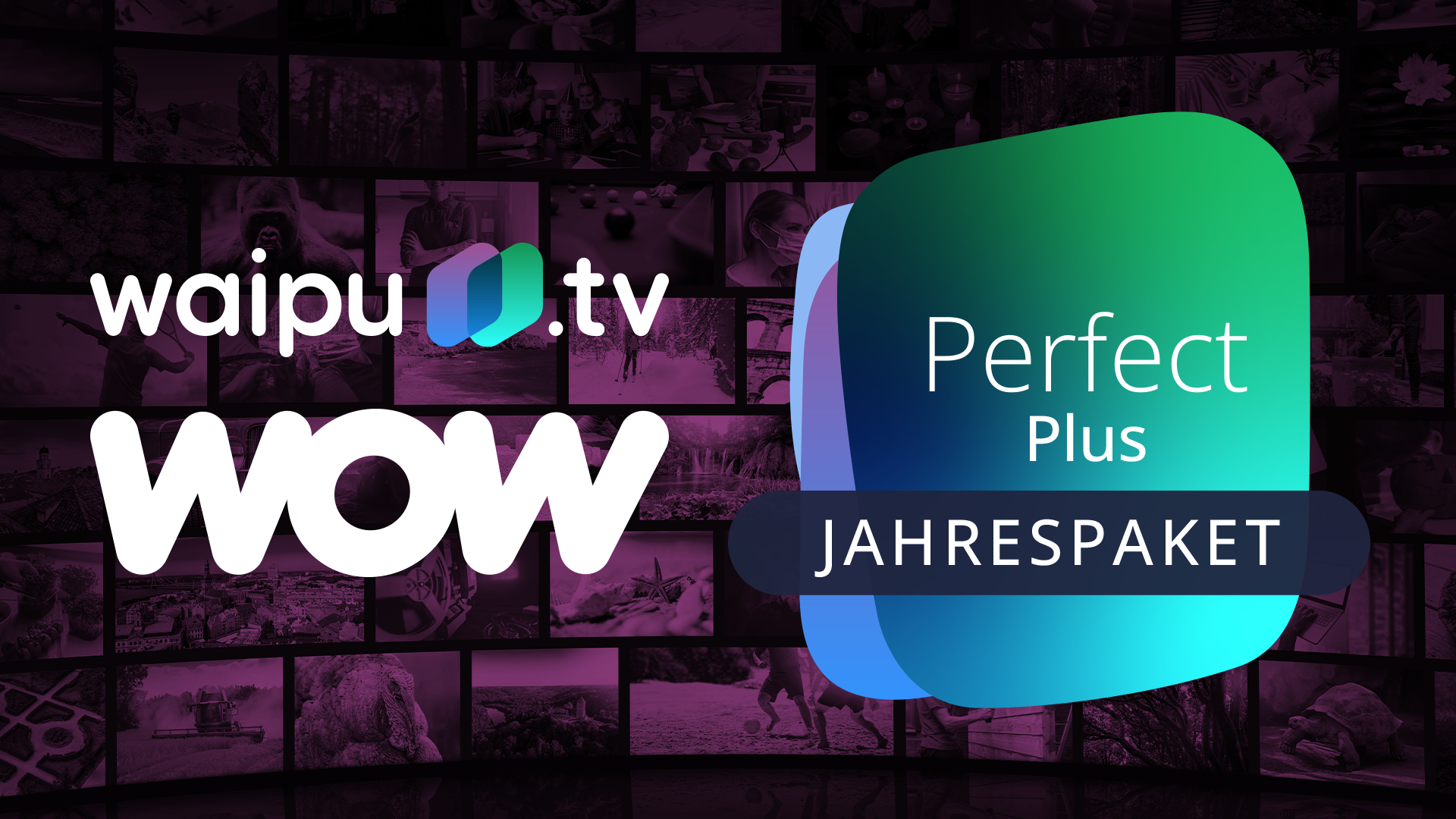 Streaming, Schnäppchen, Rabattaktion, Deals, sale, Tv, Fernsehen, Videoplattform, Angebote, Serie, Serien, Sonderangebote, Filme, Film, Videostreaming, Streamingportal, Sky, Wow, Streamingdienst, Waipu.tv, waipu, Jahrespaket, Perfect Plus, TV-Streaming