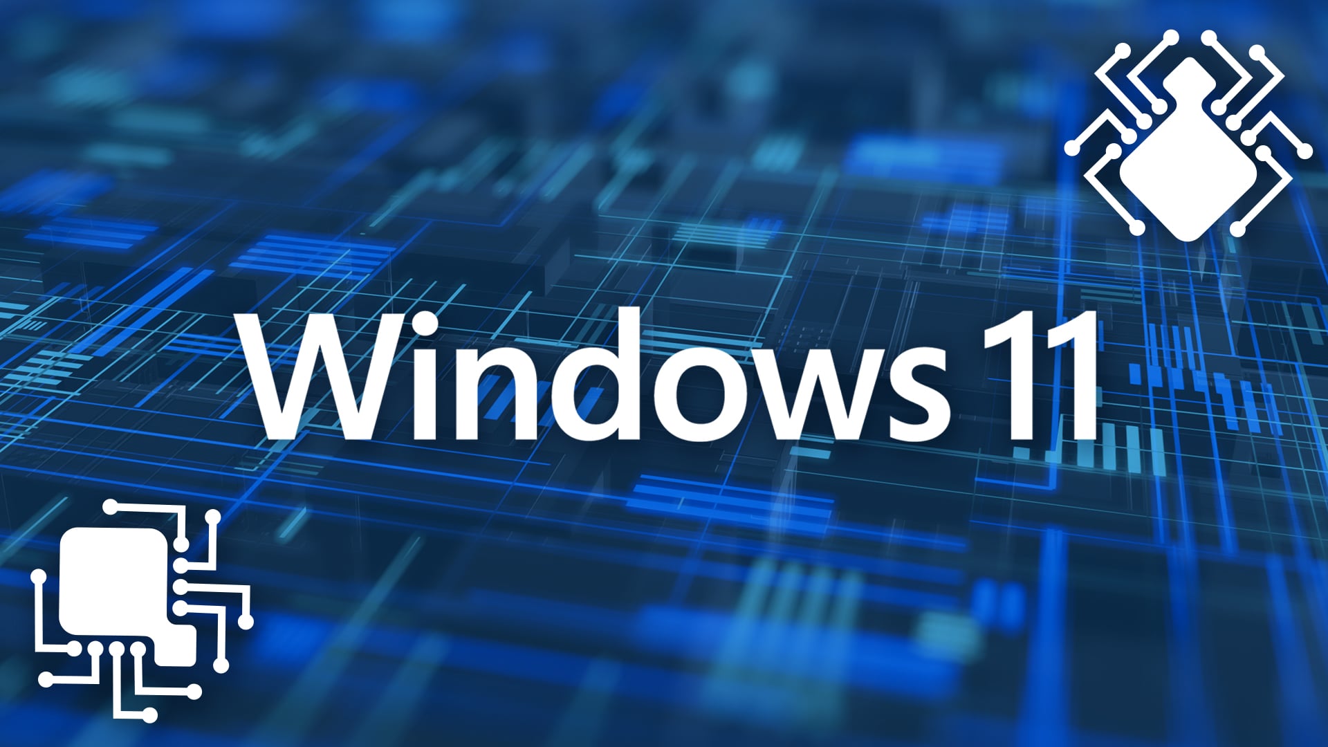Fehler, Bug, Error, Bugs bugs bugs, Windows 11 Fehler, Windows 11 Bugs Bugs Bugs, Windows 11 Troubleshoot, Windows 11 Bug