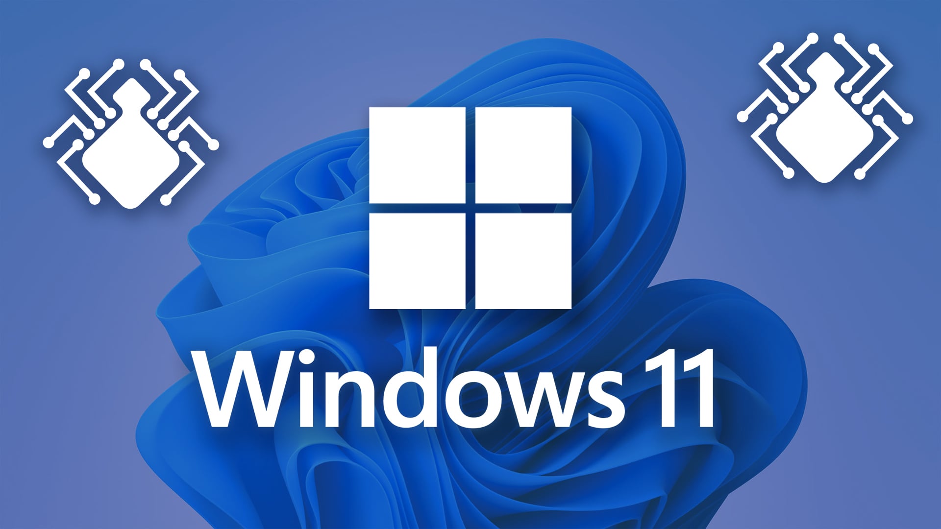 Fehler, Bug, Error, Bugs bugs bugs, Windows 11 Fehler, Windows 11 Bugs Bugs Bugs, Windows 11 Troubleshoot, Windows 11 Bug