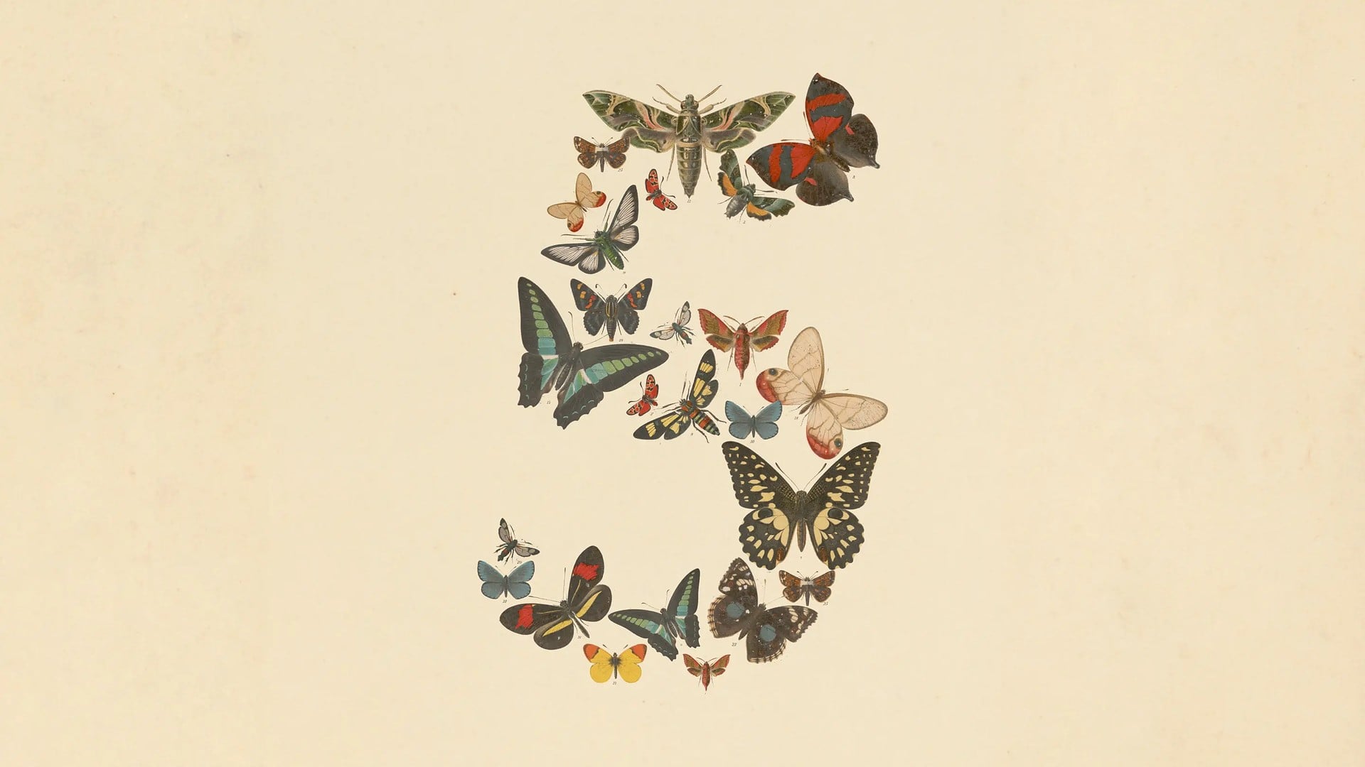 Logo, Ki, Künstliche Intelligenz, AI, Artificial Intelligence, Anthropic, Claude Mythos 5, Fable 5, Mythos 5